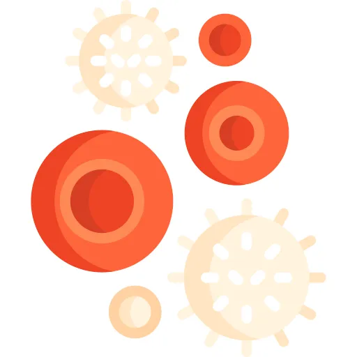 red blood cells